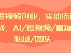AI短视频创业实战：AI+直播私域流量变现，团队运营技巧-54创业网