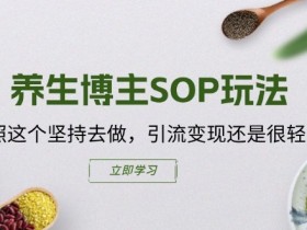 养生博主SOP玩法：3步轻松引流变现，照着做就赚钱-54创业网