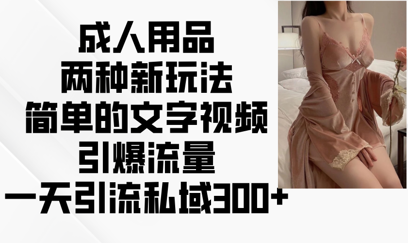 成人用品新玩法：文字视频引流技巧，日增300+私域客户-54创业网