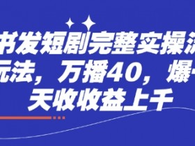 小红书短剧实操攻略：2种玩法轻松日入1000+，40万播放爆款秘籍-54创业网