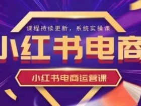 小红书电商运营教程：新手0基础速成，7天快速上手实操-54创业网