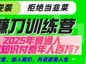 25年普通人逆袭秘籍：知识付费超级IP合伙人实战指南-54创业网