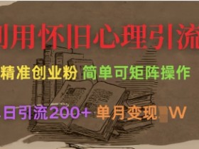 怀旧引流创业粉：单日200+流量，矩阵操作轻松月入过W-54创业网
