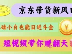 京东短视频带货代运营秘籍：揭秘躺赚技巧，新手也能轻松爆单-54创业网