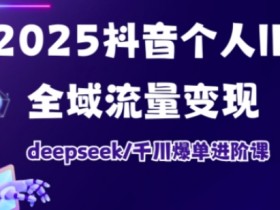 2025抖音个人IP变现课：千川爆单+全域流量进阶，跟deepseek学赚钱-54创业网