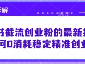 0消耗截流创业粉！小红书最新精准引流打法【思路拆解】-54创业网