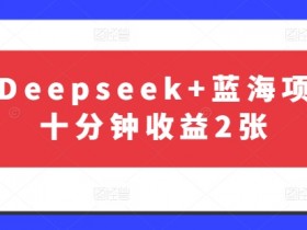 10分钟赚200元：Deepseek蓝海项目最新赚钱攻略-54创业网