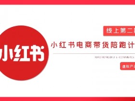 2025小红书无货源电商实战课：AI+爆款笔记从0到1轻松变现-54创业网