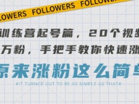 AI训练营起号篇：20个视频快速涨粉技巧，手把手教你从0到万粉-54创业网