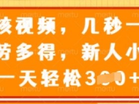 审核视频兼职：几秒一单多劳多得，新手日赚300元技巧大公开-54创业网