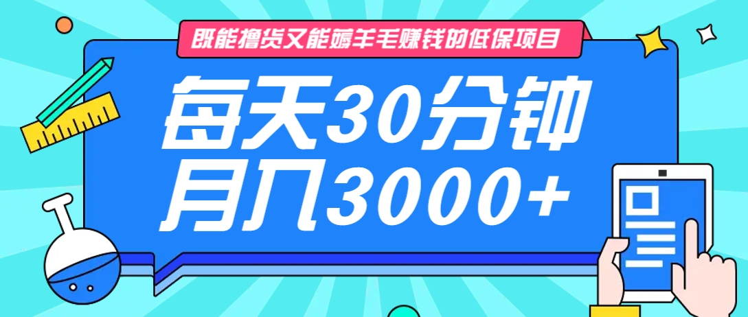 长期低保项目：既能撸货又能赚钱，每天30分钟稳定月入3000+！-54创业网