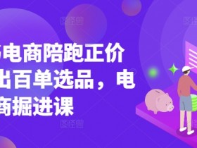 小红书电商陪跑课：官方认证讲师教学，日出百单选品技巧，电商掘金实战课-54创业网