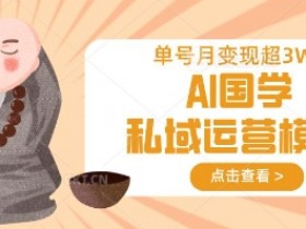 AI国学私域变现秘籍：单号月入过万的运营模型实战-54创业网
