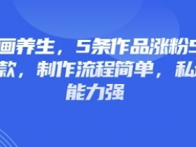 3D动画养生5条爆款涨粉5万：简单制作流程+私域变现秘籍-54创业网