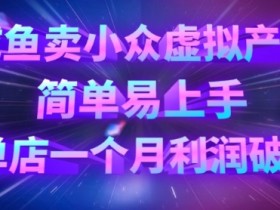 小众虚拟产品咸鱼赚钱攻略：单店月入过万，新手轻松上手-54创业网