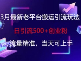3月最新老平台搬运创业粉：日引流500+精准流量，当天上手赚钱-54创业网