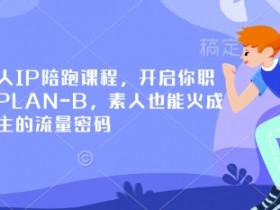 小红书个人IP陪跑课：素人变百万博主的流量密码，开启职业PLAN-B-54创业网
