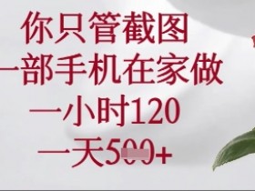 手机截图兼职在家做：一小时赚120，日入5单轻松上手-54创业网