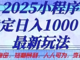 2025小程序赚钱项目：日入1k稳定玩法揭秘，人人可做的长期变现攻略-54创业网