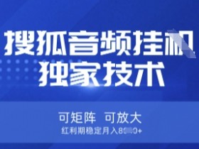 搜狐音频挂G技术：矩阵放大红利期，稳定月入8k独家揭秘-54创业网