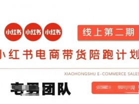 小红书电商带货课2期：月赚20万的有货源/无货源/虚拟产品玩法+付费投流技巧-54创业网