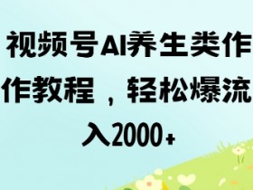 AI养生视频号制作教程：爆流量技巧，轻松日入1000+-54创业网