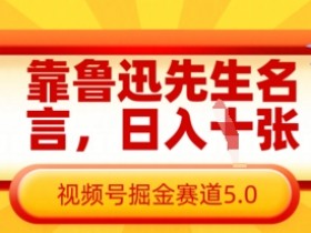 鲁迅名言赚钱秘籍：视频号掘金5.0日入千元实战攻略-54创业网