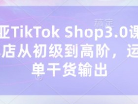 东南亚TikTok Shop3.0运营课：从小白到爆单的高阶实战干货-54创业网
