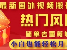 2025视频搬砖项目：热门风口0基础月入过W，简单去重剪辑教程-54创业网