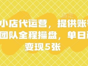 快手小店代运营：提供账号单日变现5单，团队全程操盘稳定赚钱-54创业网