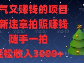 最新违章拍照挣钱项目：随手一拍轻松赚，日入数百真实揭秘-54创业网