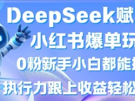 小红书爆单秘籍：0粉新手也能月入过W，DeepSeek赋能懒人勿入-54创业网