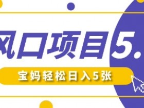 AI萌娃视频爆款秘籍：新手宝妈日涨粉2W+，5张轻松日入即梦5.0-54创业网