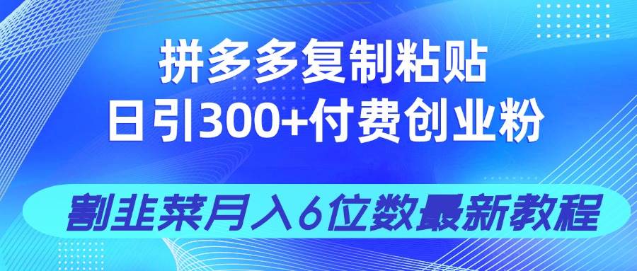 拼多多创业粉引流秘籍：日引300+付费粉，轻松月入6位数最新教程！-54创业网