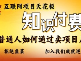 知付付费项目：普通人如何月入10万？互联网赚钱天花板揭秘-54创业网