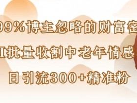 AI批量收割中老年情感赛道：99%博主忽略的财富密码，日引流300+精准粉-54创业网