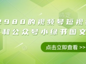 视频号橱窗带货2980元：短视频+公众号小绿书图文带货实战课-54创业网