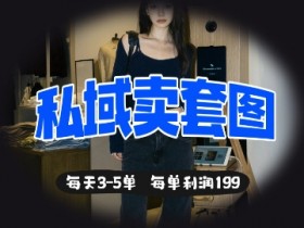 私域卖套图日赚500+：每天3-5单轻松变现，单利润99元暴利玩法-54创业网