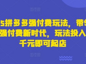 2025拼多多强付费玩法：千元投入起店，引爆流量领跑新时代-54创业网