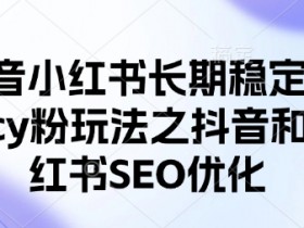 抖音小红书SEO优化：长期稳定引流cy粉玩法大公开-54创业网