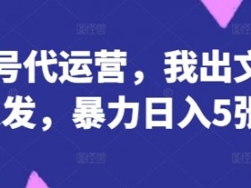 公众号代运营赚钱秘籍：暴力日入500+，我写文章你来发！-54创业网