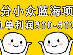 小众蓝海项目：单笔利润300+，轻松月入1W+的赚钱秘籍-54创业网