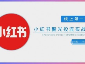 小红书聚光投流教程：0基础速成团队搭建，快速见效投放技巧-54创业网