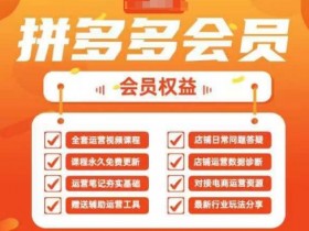 2025拼多多运营实战课：40节全流程教学，掌握拼多多运营全链路技巧-54创业网