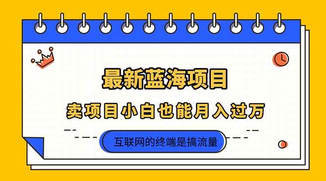 2025年蓝海项目推荐：新手小白轻松月入过万赚钱秘籍-54创业网