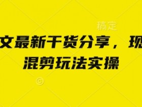 现言剧情混剪实操：小说推文最新爆款玩法干货分享-54创业网