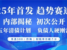 2025年事业型赛道首次公开：客咨不断，单月轻松破W-54创业网