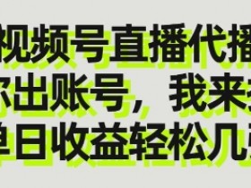视频号直播代播服务：你出账号我来播，单日收益轻松破千元！-54创业网