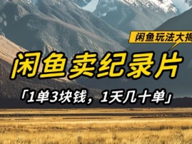 闲鱼卖纪录片赚钱：1单3元日赚几十单，稳定副业项目推荐-54创业网