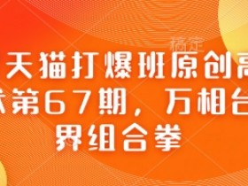 淘宝天猫打爆班67期：万相台无界组合拳高阶技术实战-54创业网